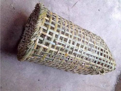 80年代农村8种捕鱼工具,你用过几种能说出名字吗 满满的回忆