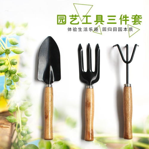 园艺工具三件套铲子耐用种花工具养花园艺用品挖土小号栽花工具铁