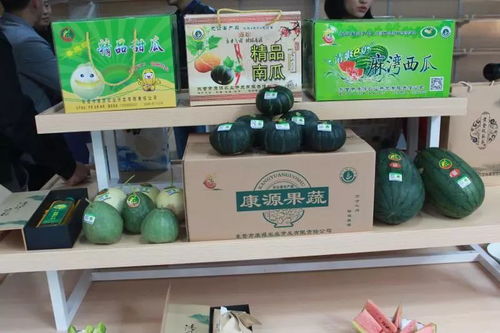 东营区农村电子商务农产品招商恳谈会成功举办 助力乡村振兴
